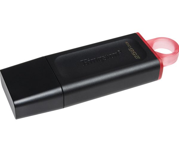 KINGSTON USB Stick Data Traveler DTX/256GB, USB 3.2, Black