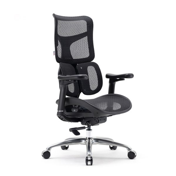 SIHOO ERGONOMIC CHAIR DORO S100 BLACK