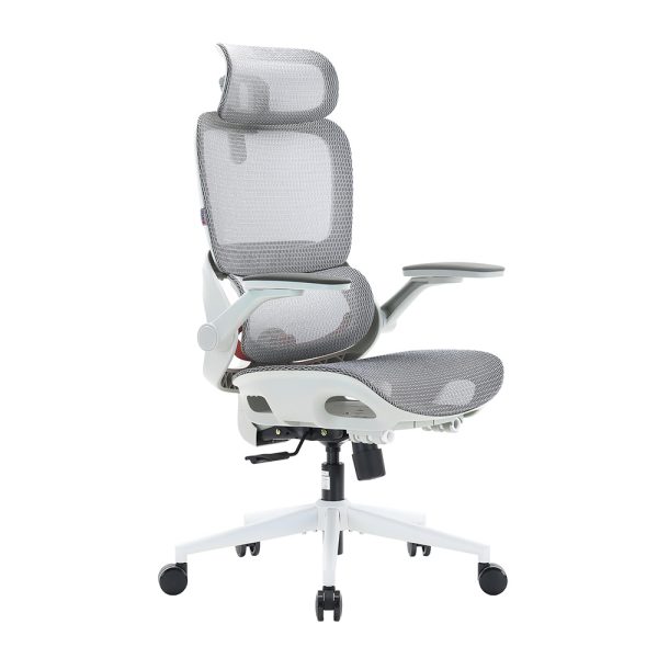 SIHOO ERGONOMIC CHAIR B100 PRO GREY WHITE